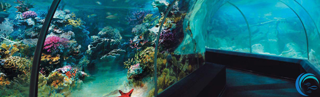 Sochi Discovery World Aquarium